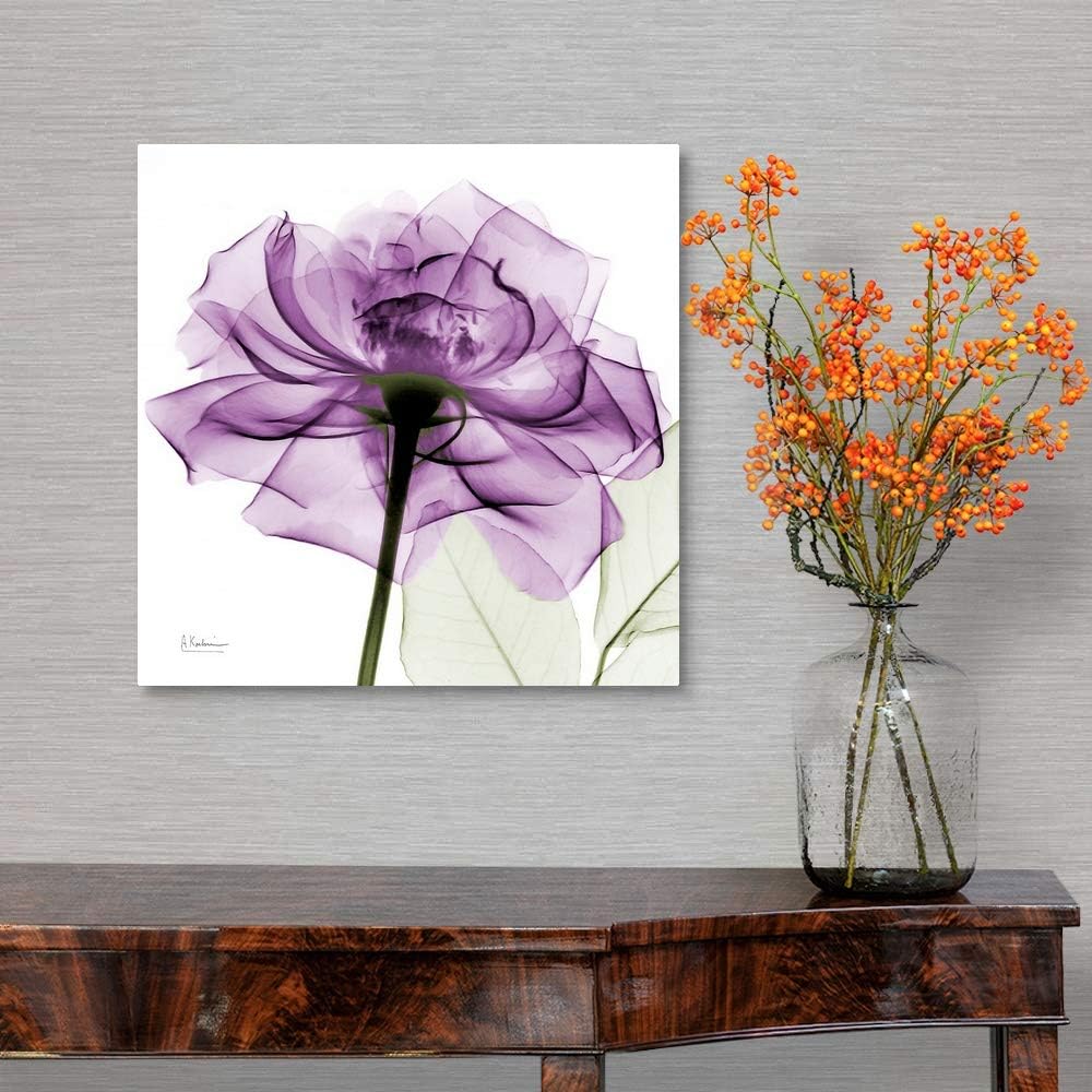 Amazon Com Purple Rose X Ray Photograph Canvas Wall Art Print Rose Artwork Posters Prints