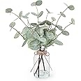 Bessol Artificial Eucalyptus Stems in Glass Vase with Faux Water, 13.5" Fake Plants for Home Decor, Coffee Table Centerpieces