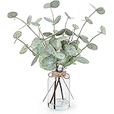 Bessol Artificial Eucalyptus Stems in Glass Vase with Faux Water, 13.5" Fake Plants for Home Decor, Coffee Table Centerpieces, Office, Bathroom & Farmhouse Weddings - Faux Greenery Plants Decorations