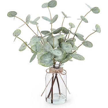 monstera leaves Monstera Deliciosa Plant for Sale | Swiss Cheese Plant main image 1