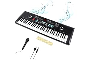PUGDODO 61 Keys Keyboard Piano, Portable Keyboard Piano for Beginners, Piano Music Keyboard with Teaching Mode,Microphone, and Power Supply, Birthday Gift for Kids