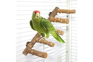 KINTOR Bird Ladder Perch Cage Nature Wood Stand Parrot Chew Toy for Small Medium Parrot Animal (M) (Bird Ladder)
