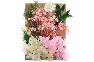 Emperoch Natural Dried Flowers, A5 Real Dried Pressed Flowers and Leaves, Mixed Multi-Color Bulk Flowers for Arts Crafts DIY 