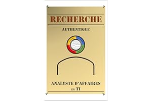 Recherche authentique analyste d'affaires en TI (French Edition)