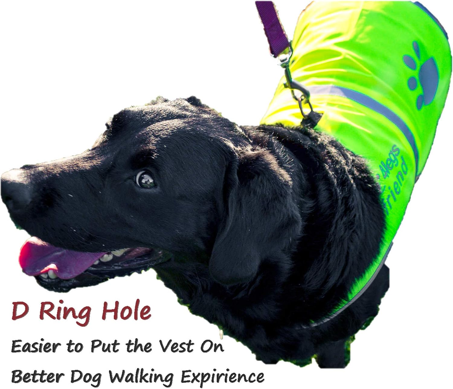 Dog Safety Yellow Reflective Vest With Leash Hole 5 Sizes - Image 3
