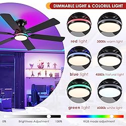 Ceiling Fans with Lights- 52" RGB Low Profile
