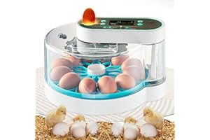 XBRIGH Egg Incubator for Hatching 12 Eggs Incubator with Humidity Display, Egg Candler, Auto-Turning Egg Incubator, Easy to Clean Egg Incubator, Blue