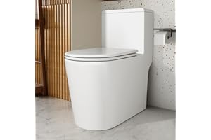 GIVINGTREE Dual Flush Elongated Standard One Piece Toilet with Comfortable Seat Height, Powerful & Quiet Dual Flush Modern Toilet, 12'' Rough-In, Glossy White，6651