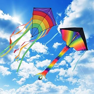 Homegoo Drachen Flugdrachen Einleiner 2 Packs, Easy Flyer große Regenbogen Delta Drachen und Riesige Bunte Diamant-Drachen für Erwachsene Outdoor Aktivitäten Starke oder leichte Winde