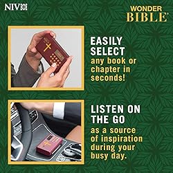Wonder Bible NIV- The Audio Bible Player That You