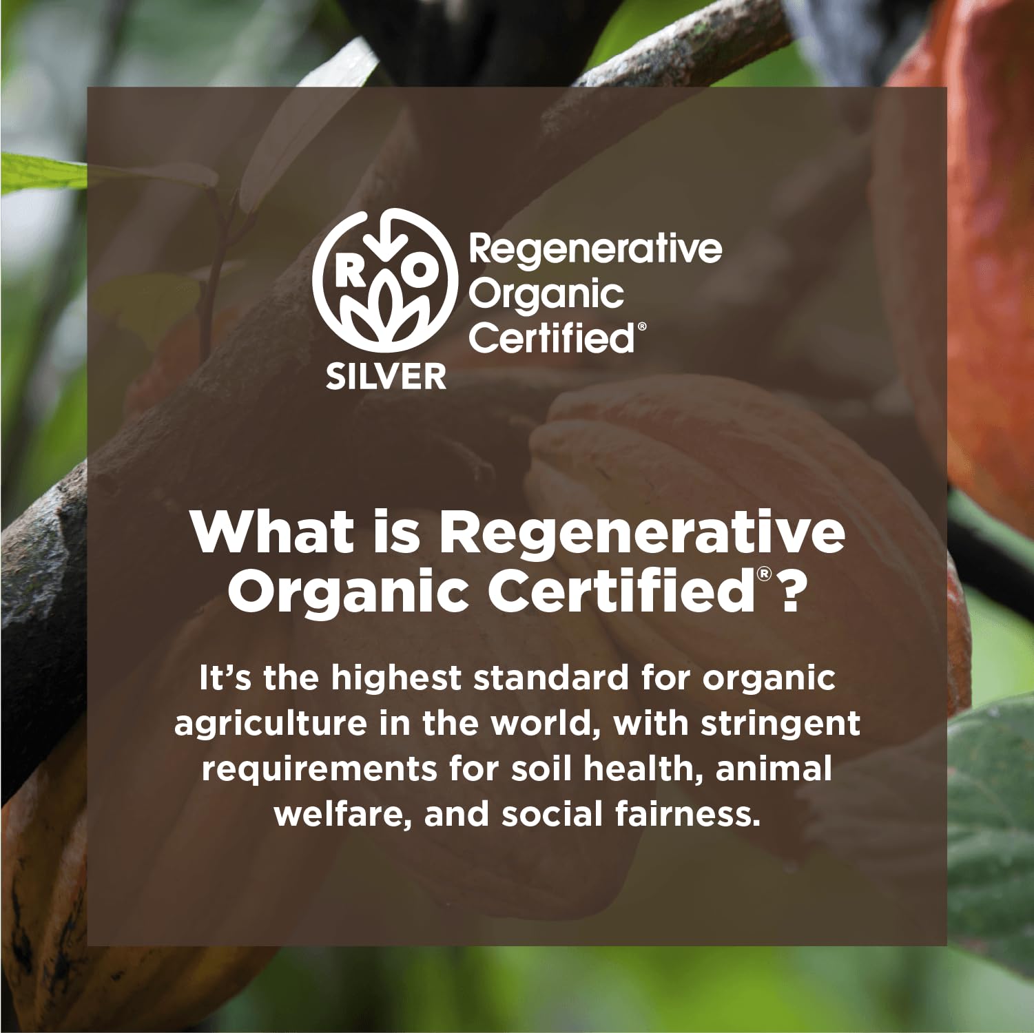 Navitas Organics Cacao Powder - Cocoa Powder Substitute 1:1, For Hot Chocolate, Baking & More - Regenerative Organic Certified, Non GMO, Fairtrade, Gluten Free, Non-alkalized (16oz. Bag, 76 Servings)