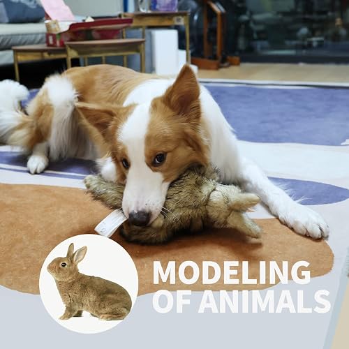 18 8 stainless steel dog bowl Basis Pet Stainless Steel Dog Bowl