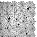 DII Black Lace Overlay Tabletop Collection Gothic Halloween Decor, Tablecloth, 54x72, Spider Web