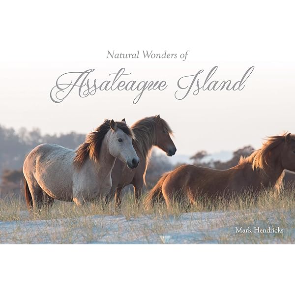 The Assateague Ponies: Ronald R. Keiper: 9780870333309