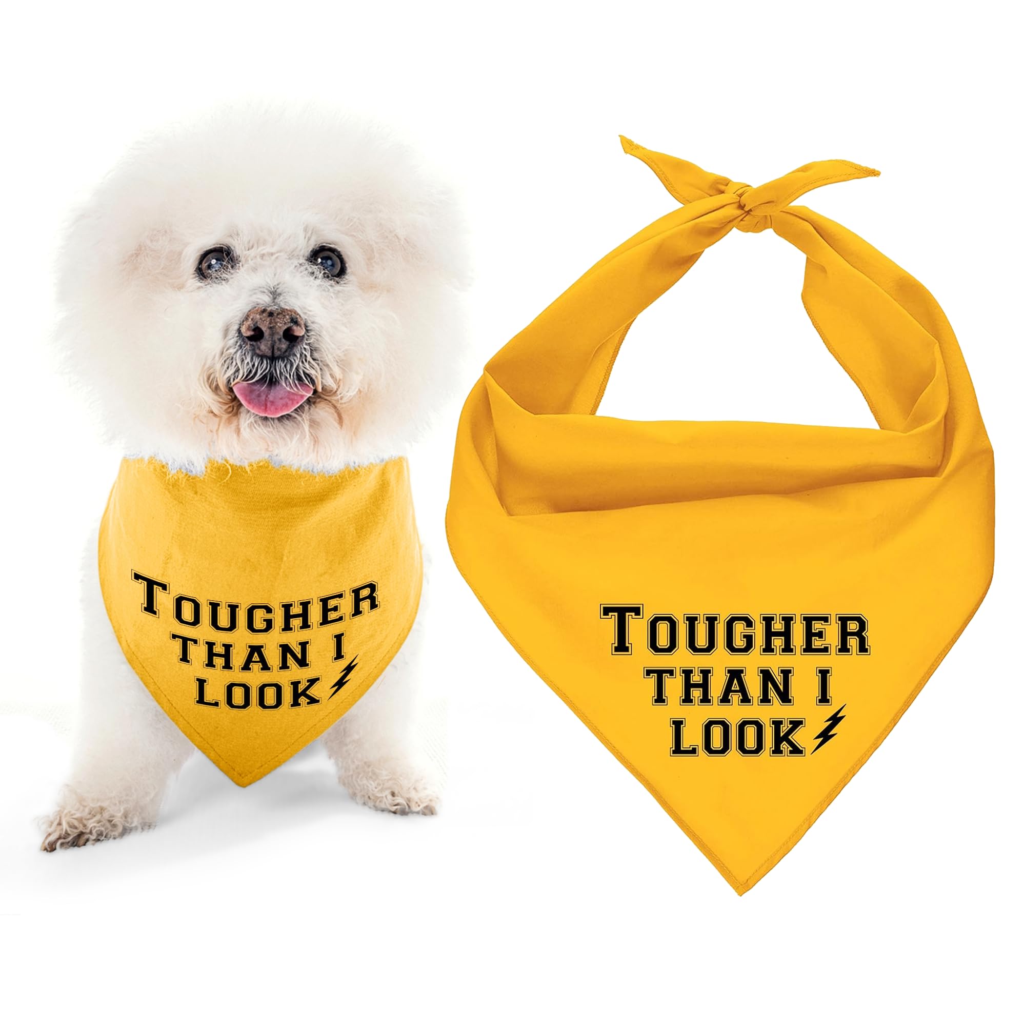 Parisian Pet Dog Bandana for Dogs and Cats - Dog Bandanas Large and Small Kerchief Scarfs - Dog Bandanas Tougher Than I Look