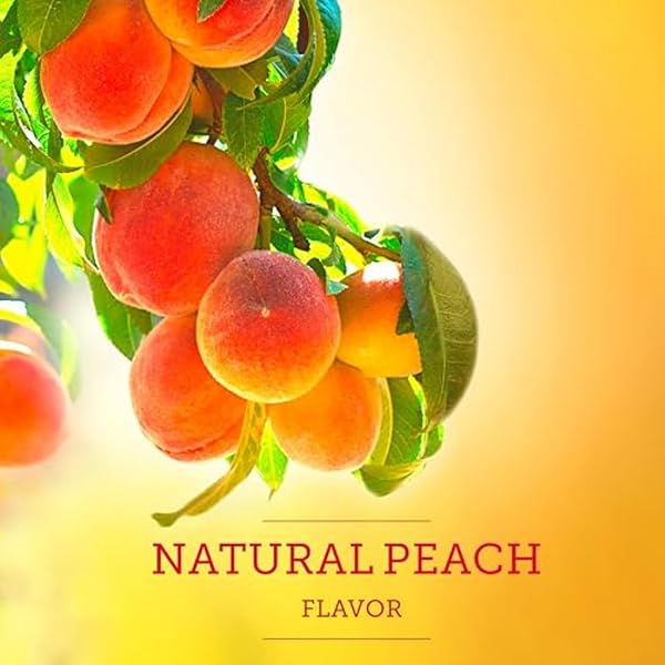 LIPTON ICED TEA MIX, PEACH SWEETENED ICED TEA, MAKES 10 QUARTS