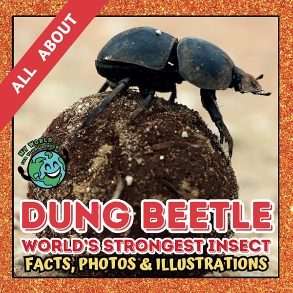 All about Dung Beetle | Facts, Photos and Illustrations: A Picture Book for  Kids and Toddlers | Screen-Free Infotainment (MY WORLD for YOUNG READERS):  Facts, Animal: 9798871854761: Amazon.com: Books