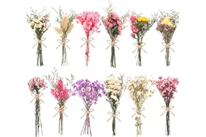 WGXX 10/12/24/36 Pack Mini Dried Flowers for Vase Wedding Various Mini Bouquet Dried Small Wildflowers Natural Flowers Bulk for Crafts DIY Decor (12, Multicolor)