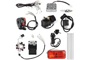 PRO BAT Complete Electrics 4 Stroke Wiring Harness Kit 8 Coil CDI Stator Tail Light for 150cc 200cc 250cc 300cc 4 Wheelers Stroke ATV Go Kart Quad Pit Dirt Bike Zongshen Lifan YX, Black
