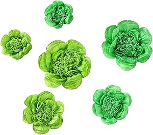 BalsaCircle 6 pcs 7 9 11-Inch Mint and Apple Green Paper Peony Tissue Flowers - Wall Backdrop Party Wedding Decorations Supplies