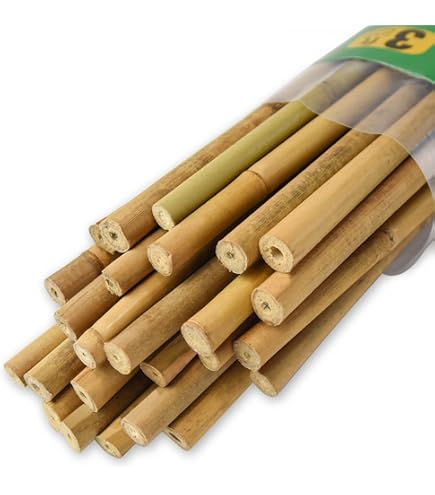 Lot De 50 Piquets En Bambou Pour Plantes D'intérieur Et D