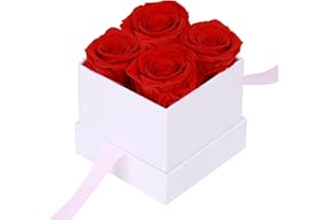 ANLUNOB 4Pcs Roses Valentines Day Gifts for Her,Valentines Rose Flowers Birthday Gifts for Women,Valentines Day Gifts for Wife Mom Girlfriend,Preserved Roses in a Box-Eternal Rose