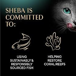 Sheba Perfect Portions Wet Cat Food Pate with