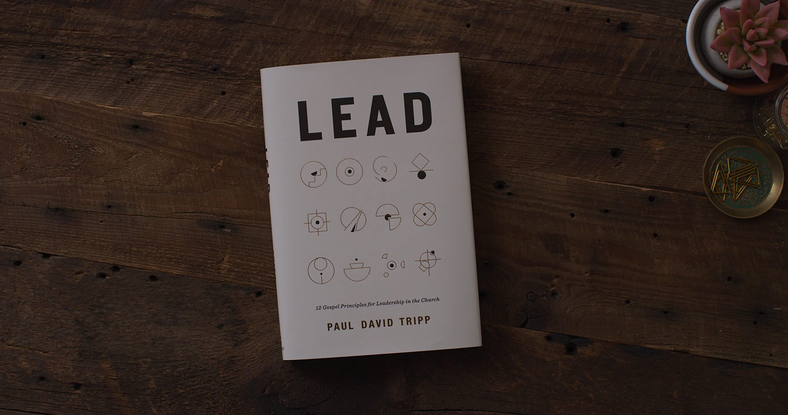 Lead: 12 Gospel Principles for Leadership in the Church