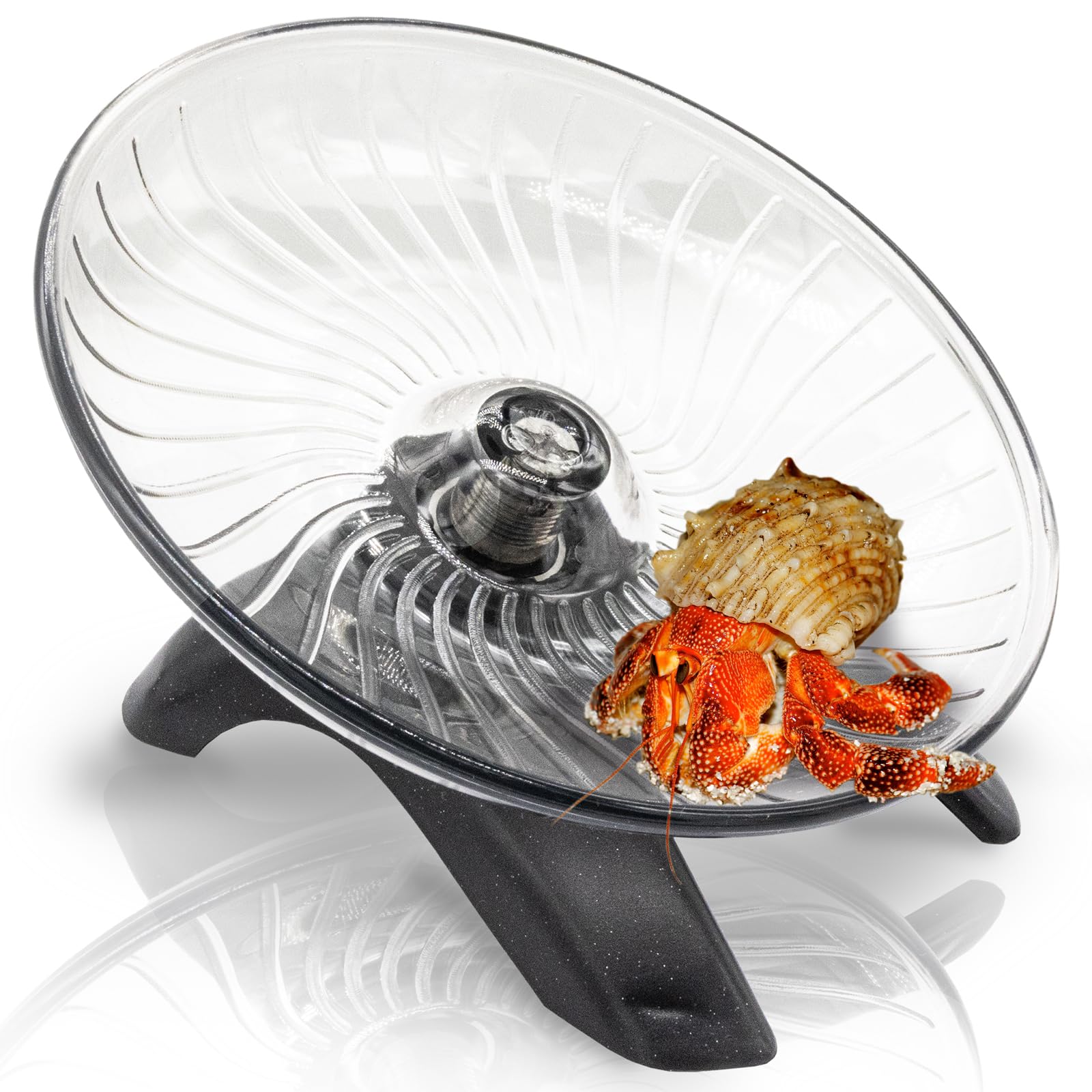 Photo 1 of Hermit Crab Exercise Wheel - Silent Running Wheel for Crab Tank Accessories - Small Animal Wheel for Hamster Gerbils Hedgehogs
