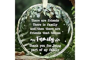 Friend Gifts for Women Men - Christmas Tree Decoration Glass Ornament - Christmas Friend Birthday Gifts for Women BFF Bestie,