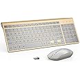J JOYACCESS Wireless Keyboard and Mouse Combo, Ergonomic and Quiet Wireless Keyboard and Mouse Set, Portable and Customizable DPI for Laptop, Computer and PC(Gold Silver)