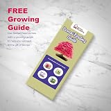 Grow Buddha Grow Buddha Bonsai Food Fertiliser 100 ml Liquid Concentrate view 5
