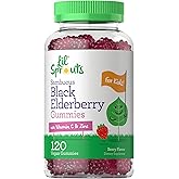 Carlyle Elderberry Gummies for Kids | 120 Count | Zinc and Vitamin C | Berry Flavor | Vegan, Non-GMO, and Gluten Free | by Lil' Sprouts