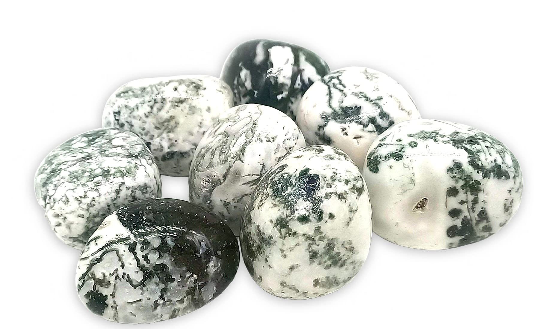 TENET, polished stones for Crystallotherapy and Reiki - 5 pieces (DENDRITIC AGATE)