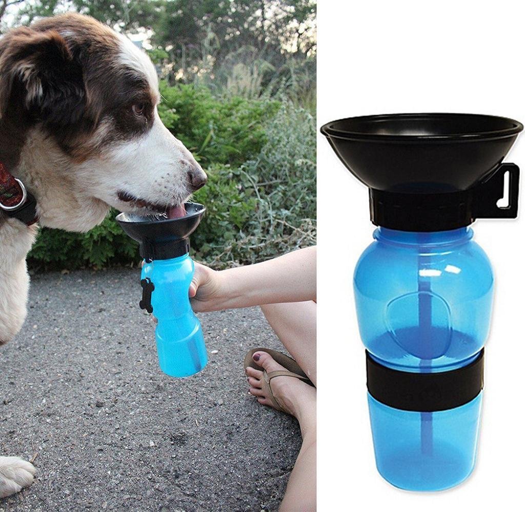 aqua dog bottle