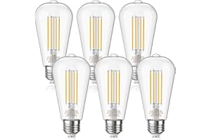 Edison Light Bulbs, E26 Dimmable Vintage LED Lightbulb, 8W 800LM Base 2700K Soft White LED Bulb, ST19 90+ CRI Decorative Fila