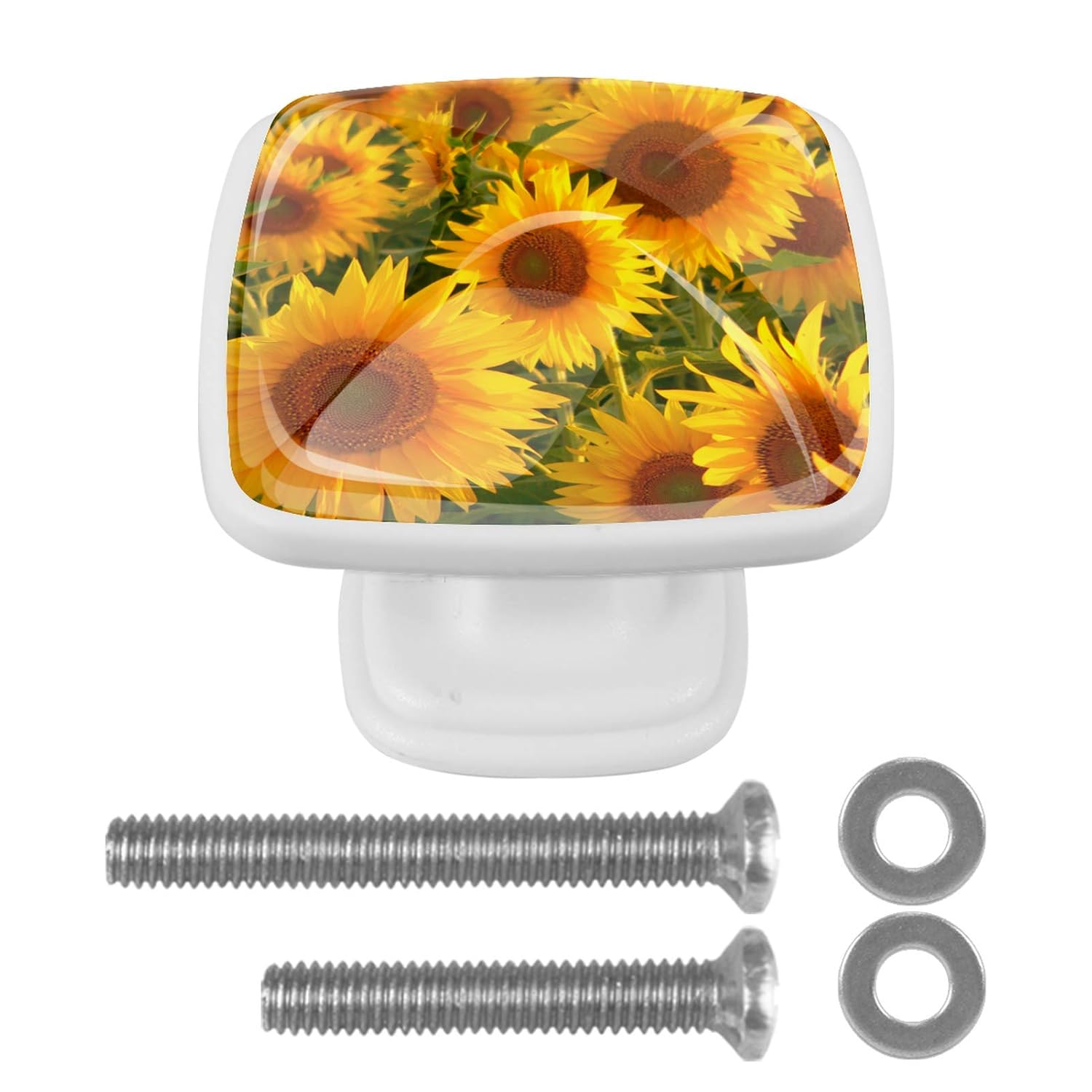Schrankknöpfe und zieht Sonnenblumen goldene Blüten Bücherregal Knöpfe