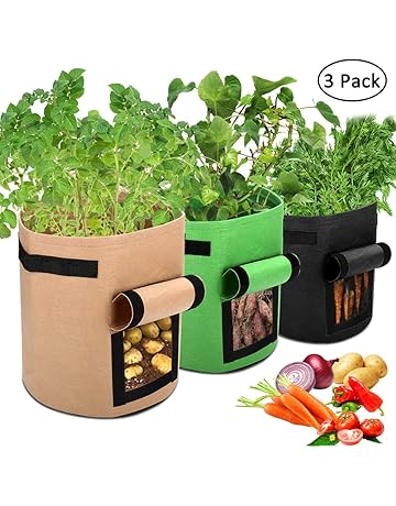Bolsas para plantas | Amazon.es