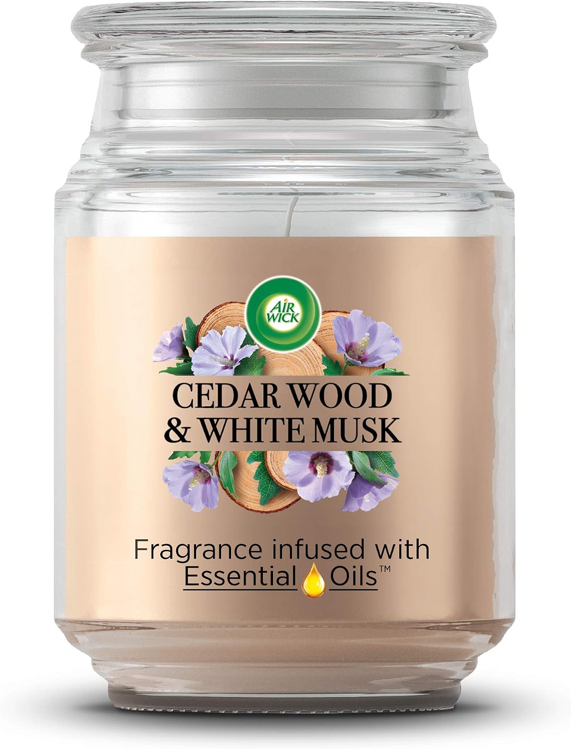 Airwick Air Freshener XL Candle Cedar Wood & White Musk, Up to 85 Hours Burn Time, Clear