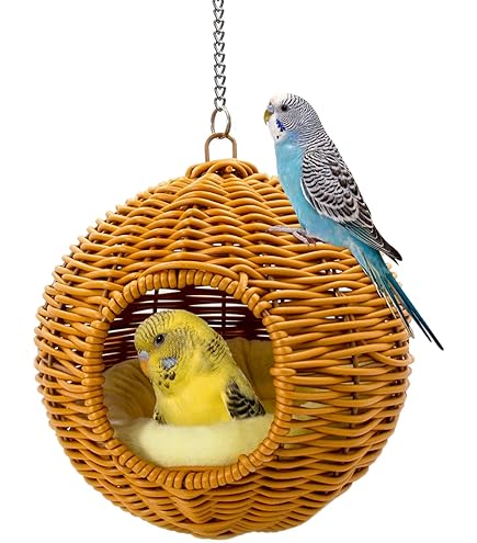 Amazon.com : MULTIPET International 843037 Migrator Pheasant for