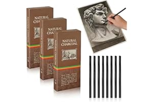 Charcoal Pencil Set 30PCS Natural Willow Charcoal Sticks 3-5mm 5-7mm 7-9mm for Sketching Shading Drawing Outlines Art Techniq