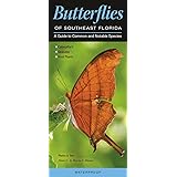 Butterflies Of Central Florida A Guide To Common