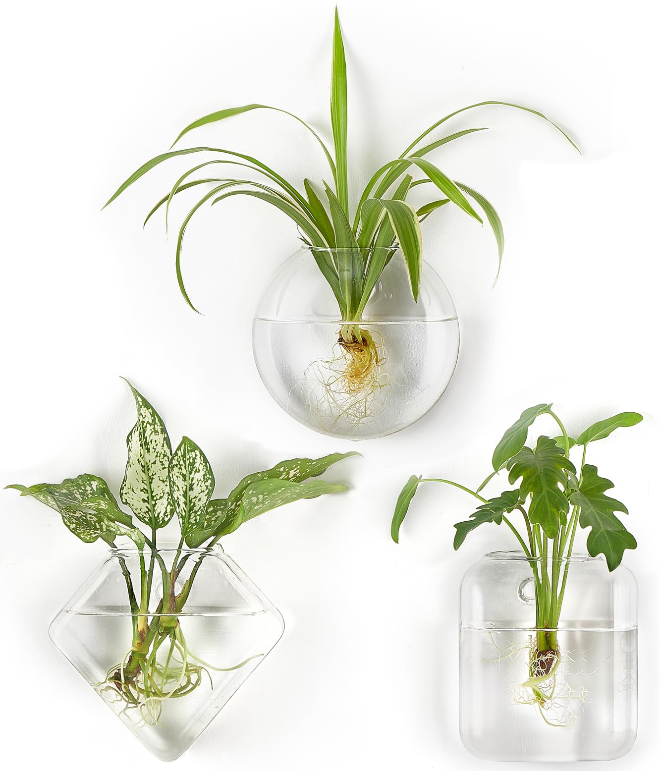 Photo 1 of Mkono Wall Planter Propagation Stations Hanging Glass Terrariums Vase Container for Propagating Hydroponic Plants Flowers Home Office Living Room Bathroom Garden Decor, 3 Pack