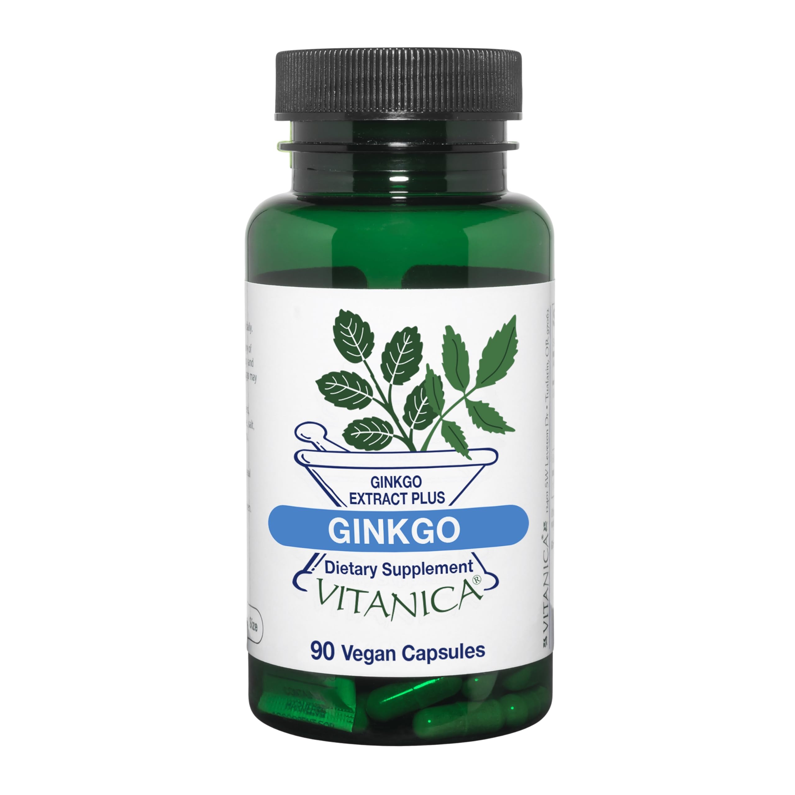 Ginkgo