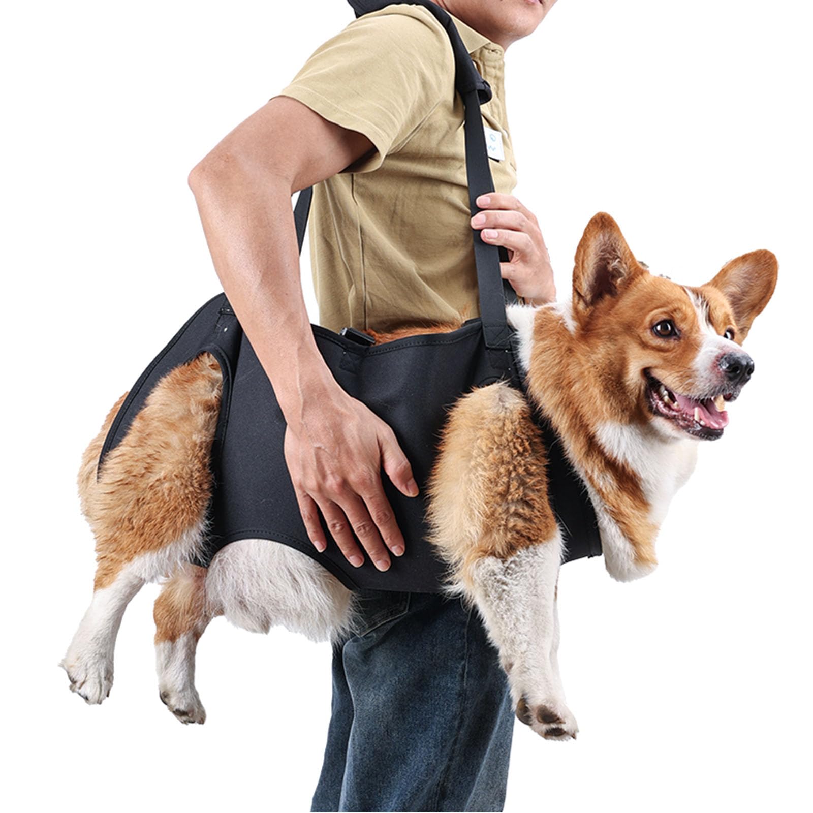 BT Bear Dog Carry Sling, Senior Dog Support & Rehabilitation Harness, Up & Down Stairs, Arthritis & Injuries (M)