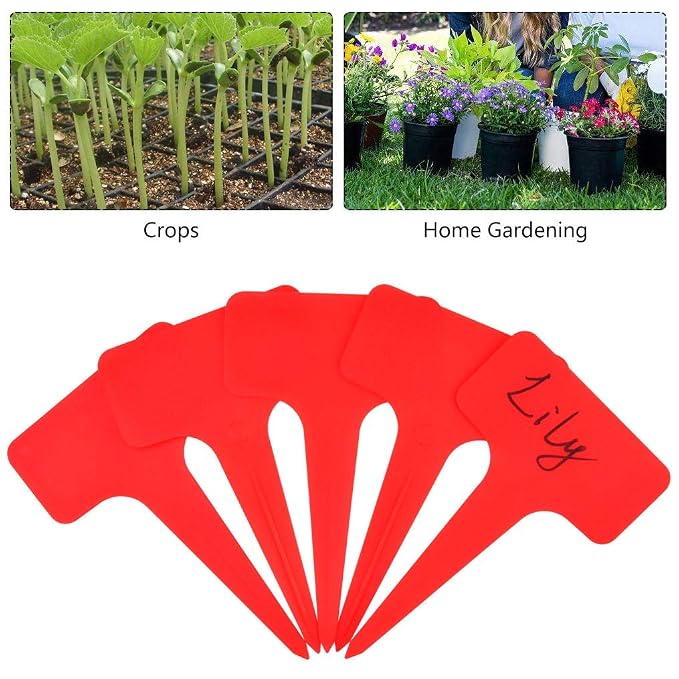 FABSELLER Etiquetas de plástico para Plantas, de la Marca, 6 x 10 ...