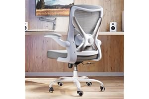 ERGALITHIC Ergonomic Office Chair with Lumbar Support - Adjustable Computer Desk Chairs for Home Office, Gaming, and Work - Comfortable and Supportive Desk Chairs for Adults(Grey Silver)