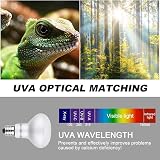 Lotvic 2 Pack 100W Reptile Heat Lamp E27 UVA Daylight Bearded Dragon Lamp view 4