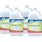 Klean-Strip Green 2 Set of 4 Safer Muriatic Acid Jug 128 Oz