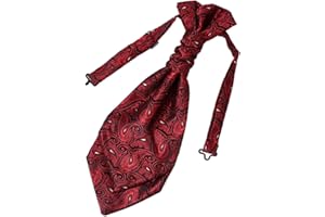 Epoint Cravat Necktie For Party Silk Pretied Ascot Cravat Tie 12 Inch Clip-On Adjustable